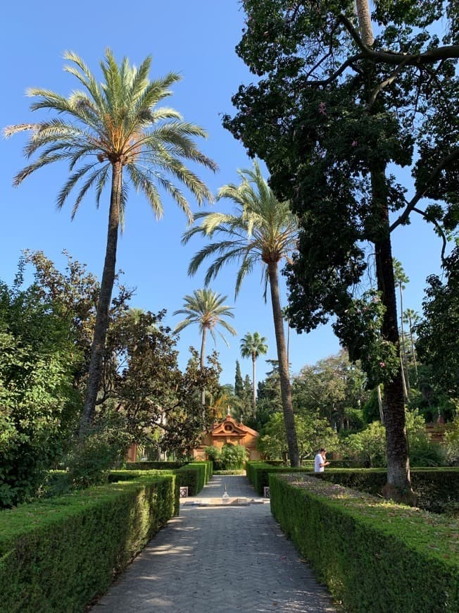 Lugar Real Alcázar de Sevilla