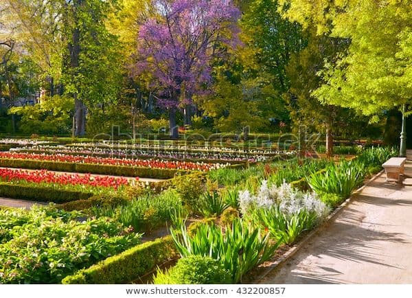 Place Real Jardín Botánico