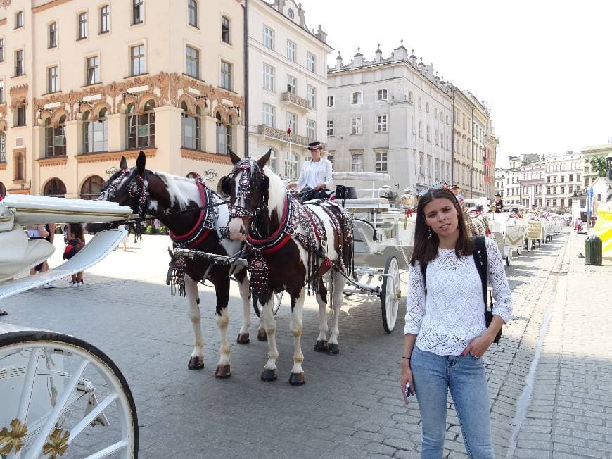 Place Rynek Główny