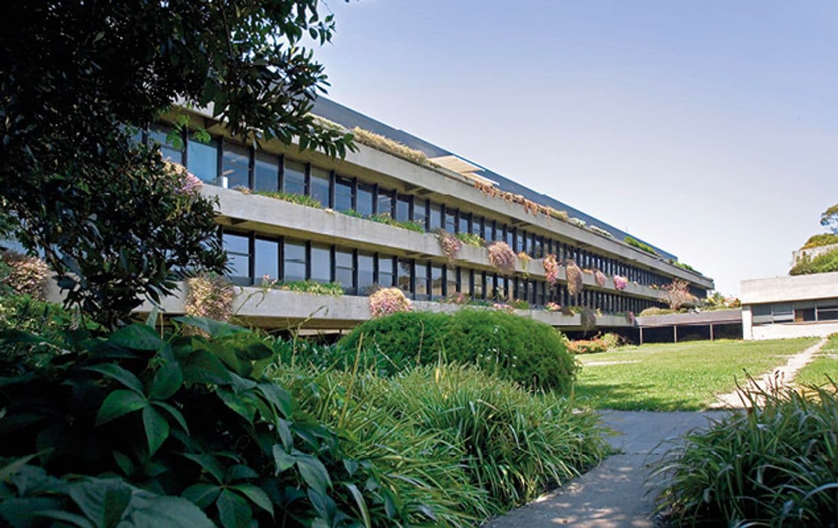 Place Calouste Gulbenkian Foundation