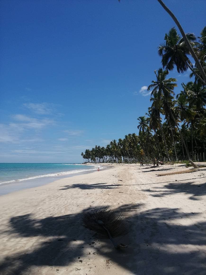 Place Praia dos Carneiros