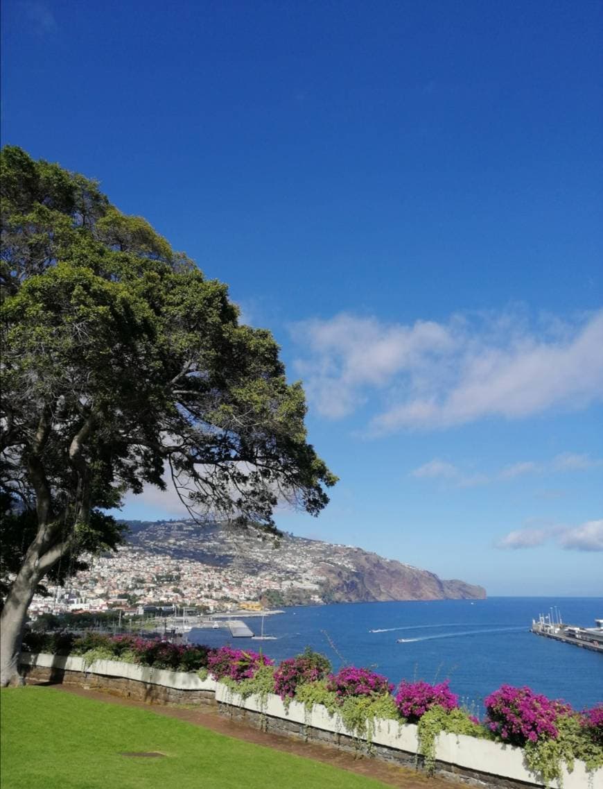 Place Funchal