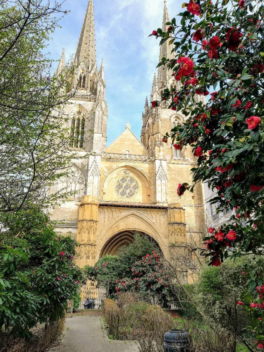 Place Cathédrale Sainte-Marie de Bayonne