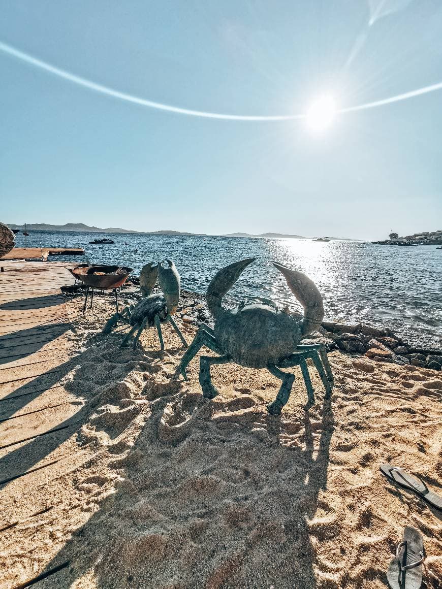 Restaurantes Hippie Fish Mykonos