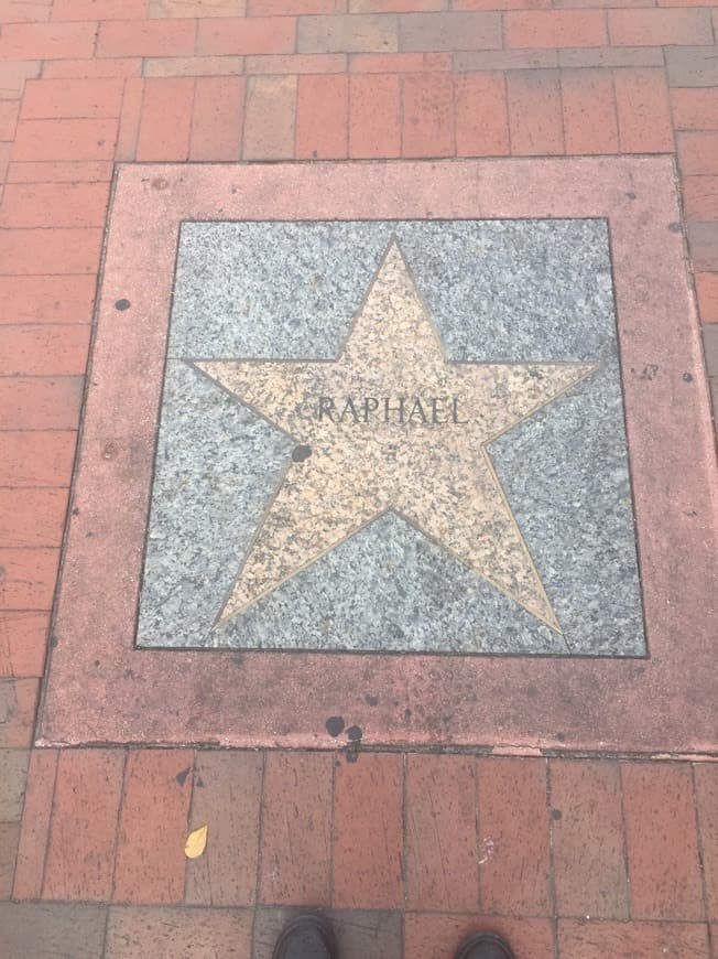 Place Miami Walk of Fame