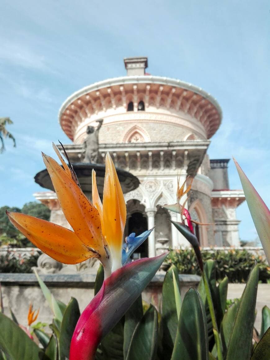 Lugar Palacio de Monserrate