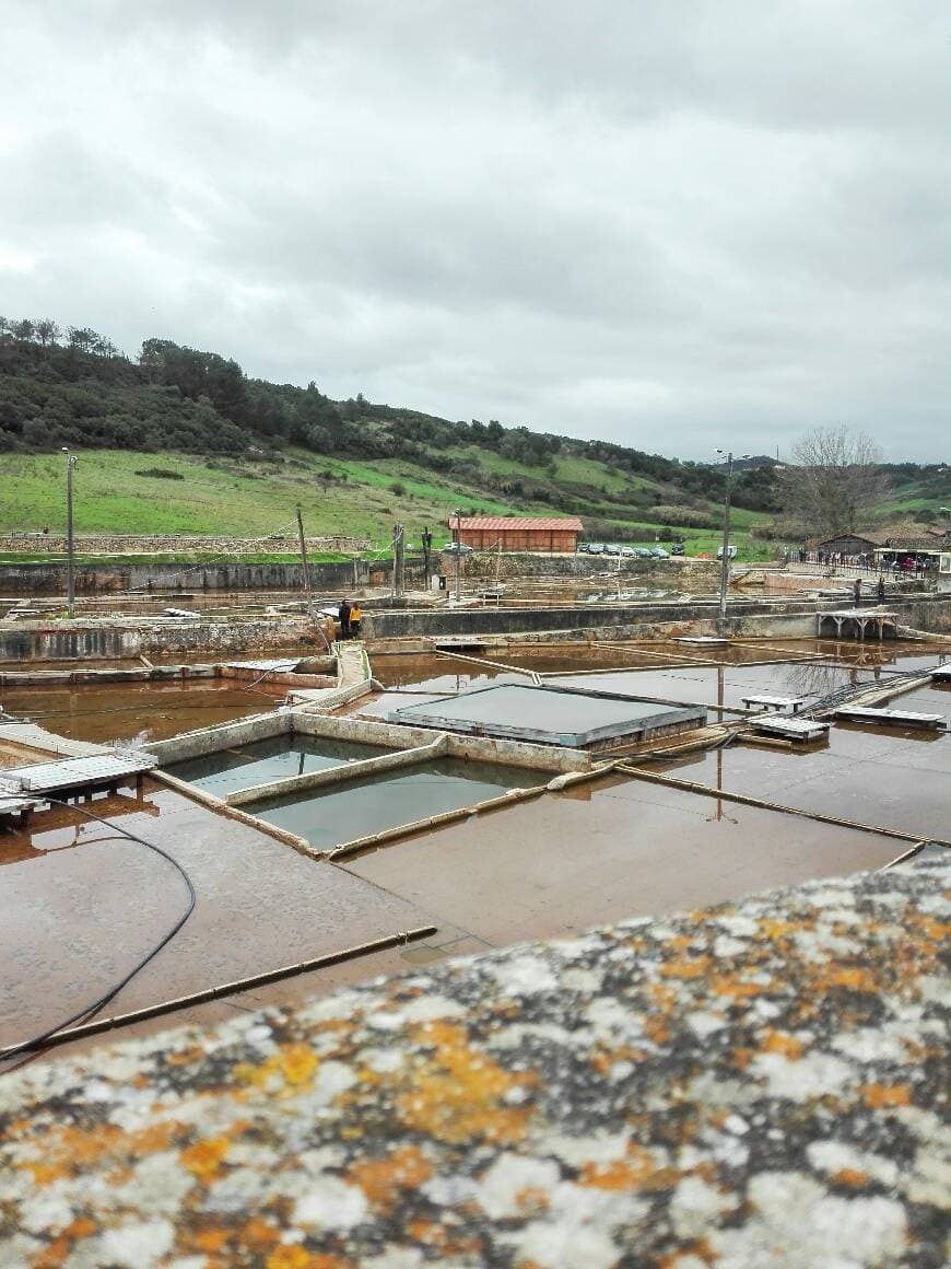 Lugar Salinas de Rio Maior