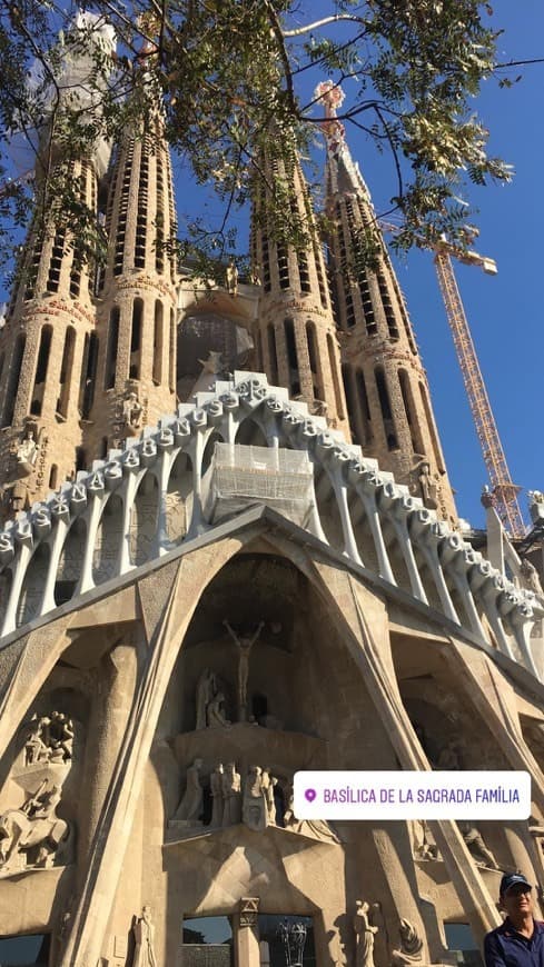 Place Basílica Sagrada Familia