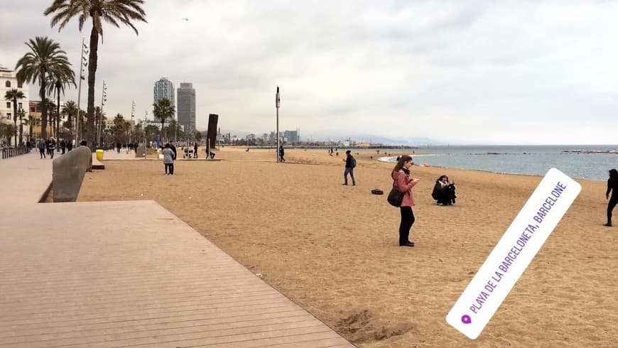 Place Playa de la Barceloneta