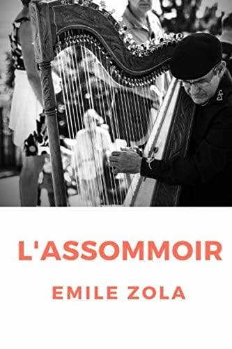 Libro L'Assommoir