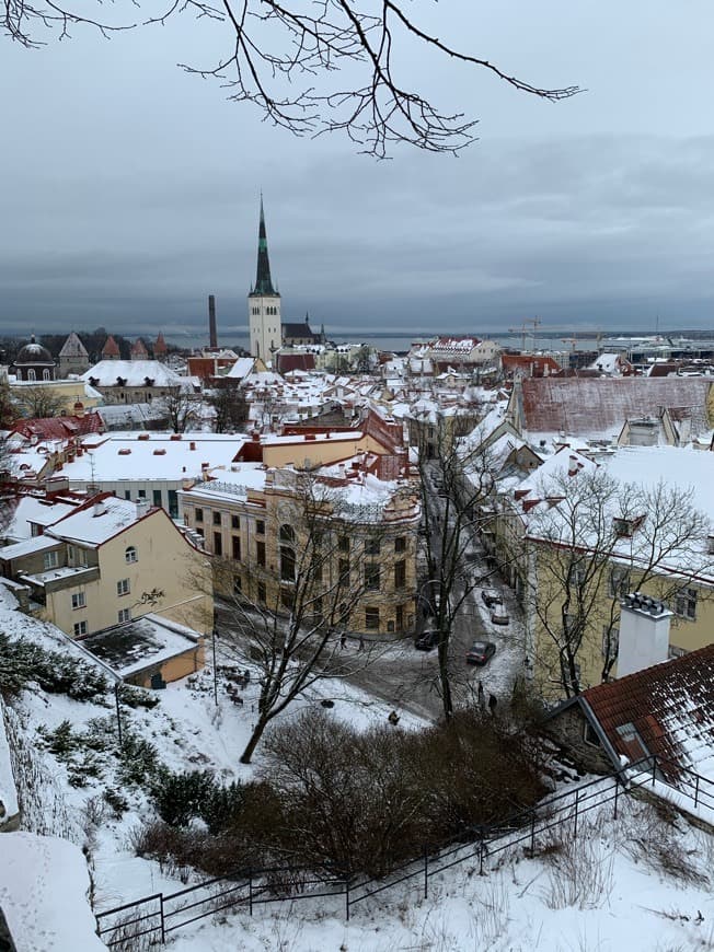 Place Tallinn