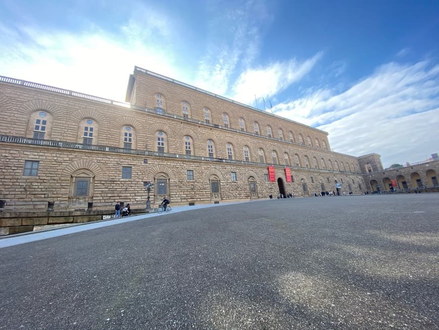 Lugar Palazzo Pitti