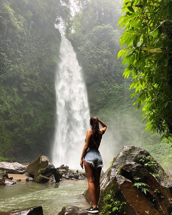 Place Nungnung Waterfall