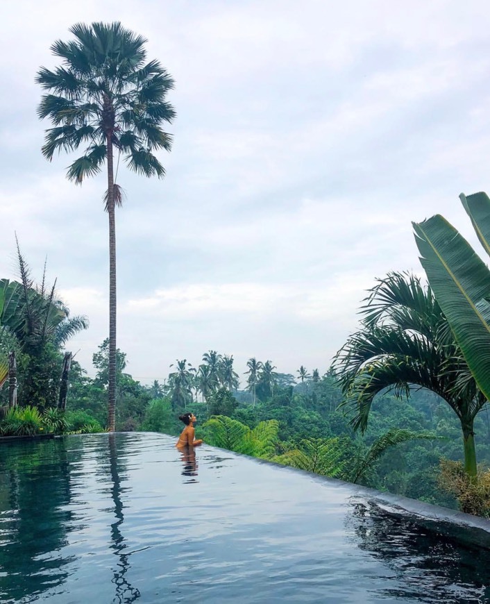 Place Alam Ubud Culture Villas & Residences