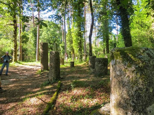 Place Mata da Albergaria (Gerês)