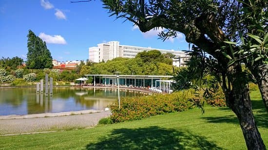 Place Jardim Amália Rodrigues