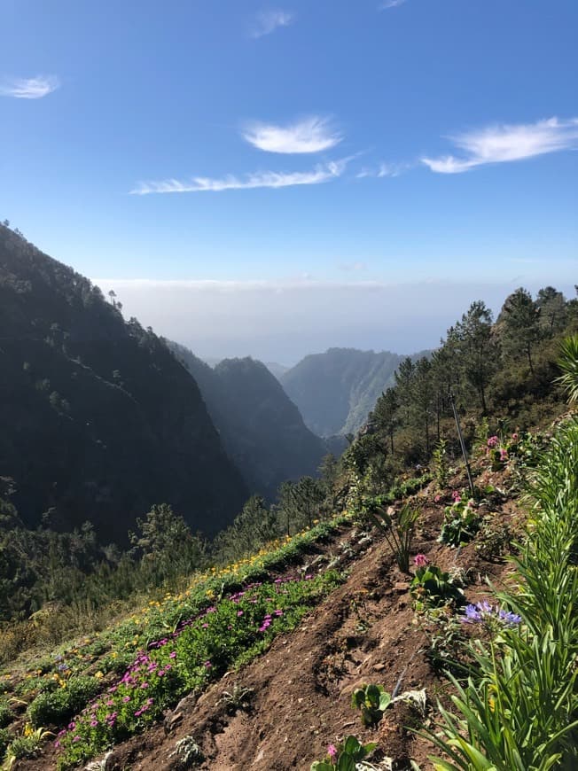 Lugar Curral das Freiras