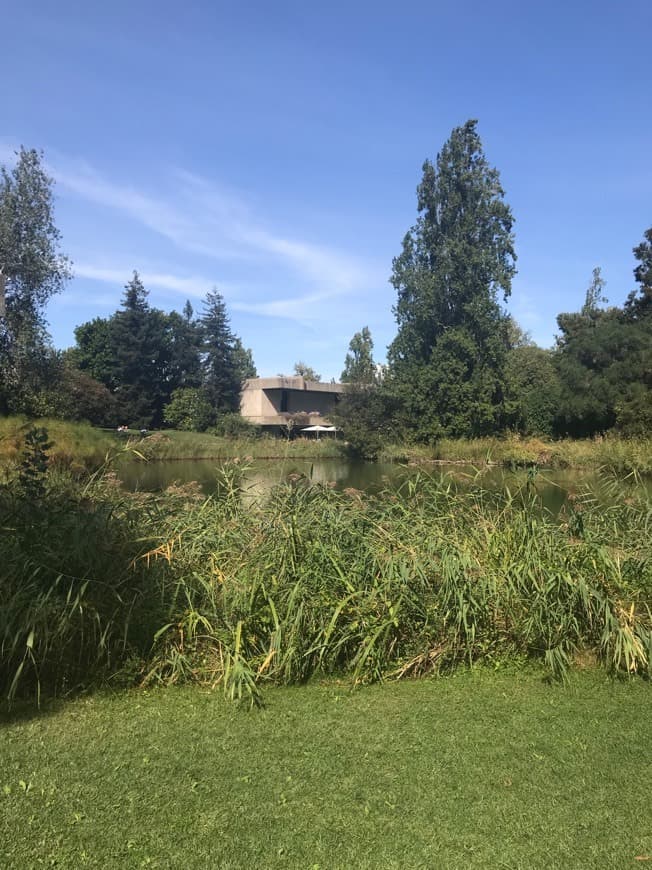 Lugar Museo Calouste Gulbenkian