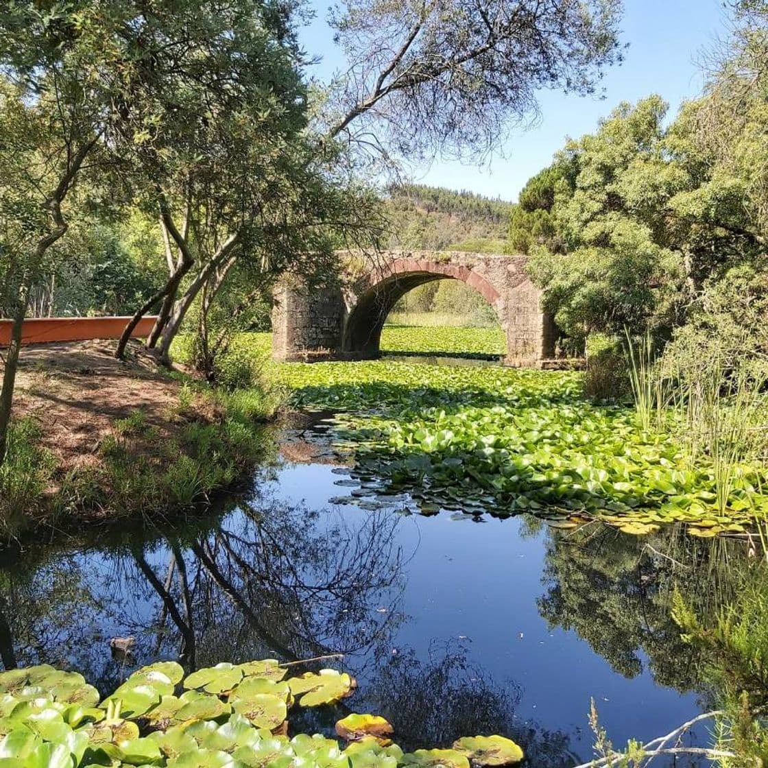 Lugar Santa Clara-a-Velha