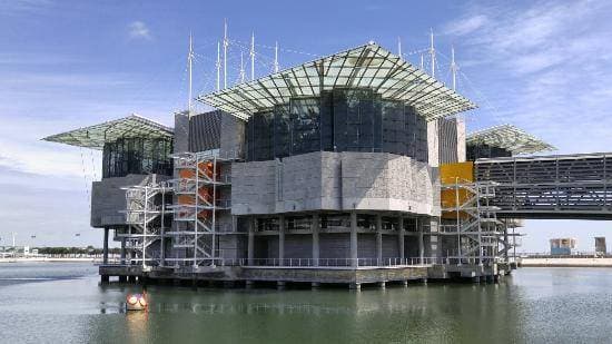 Lugar Oceanario de Lisboa