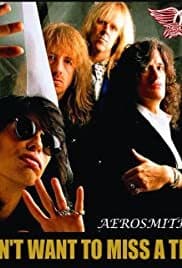 Music Aerosmith - I don't want to miss a thing