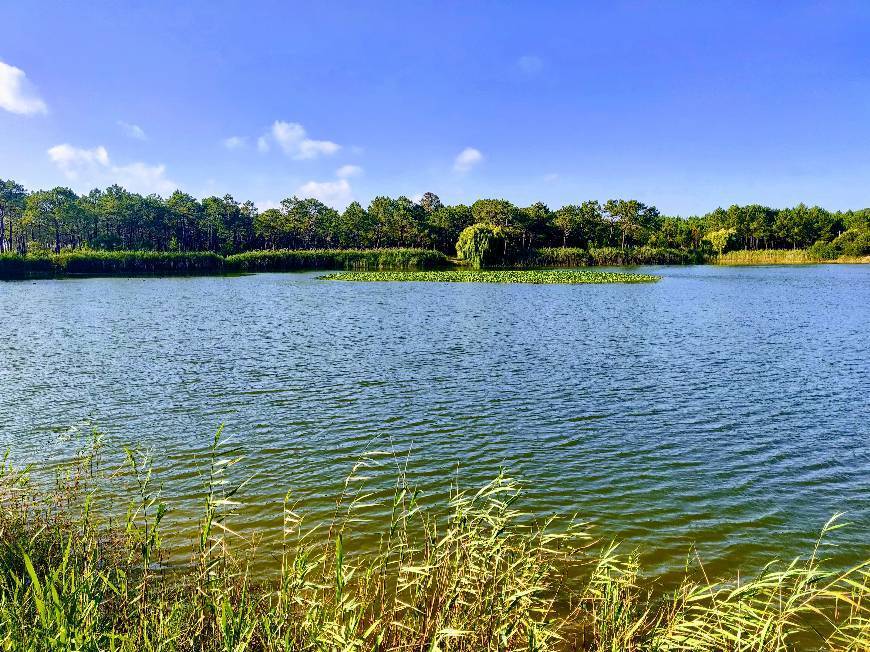 Place Lagoa de Pataias