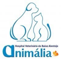 Lugar Hospital Veterinário do Baixo Alentejo