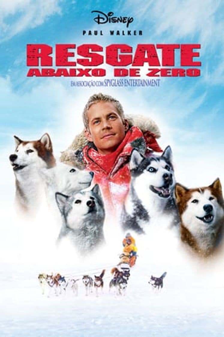 Película Eight Below