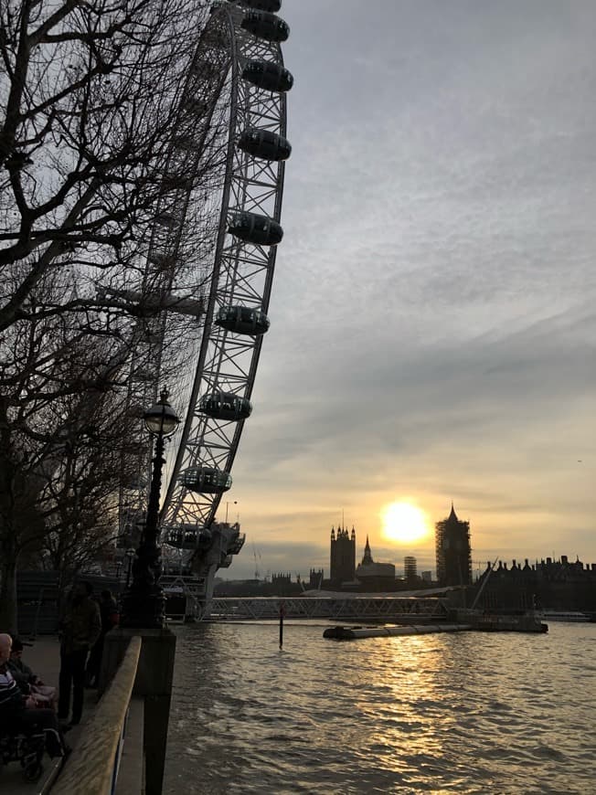 Place London Eye