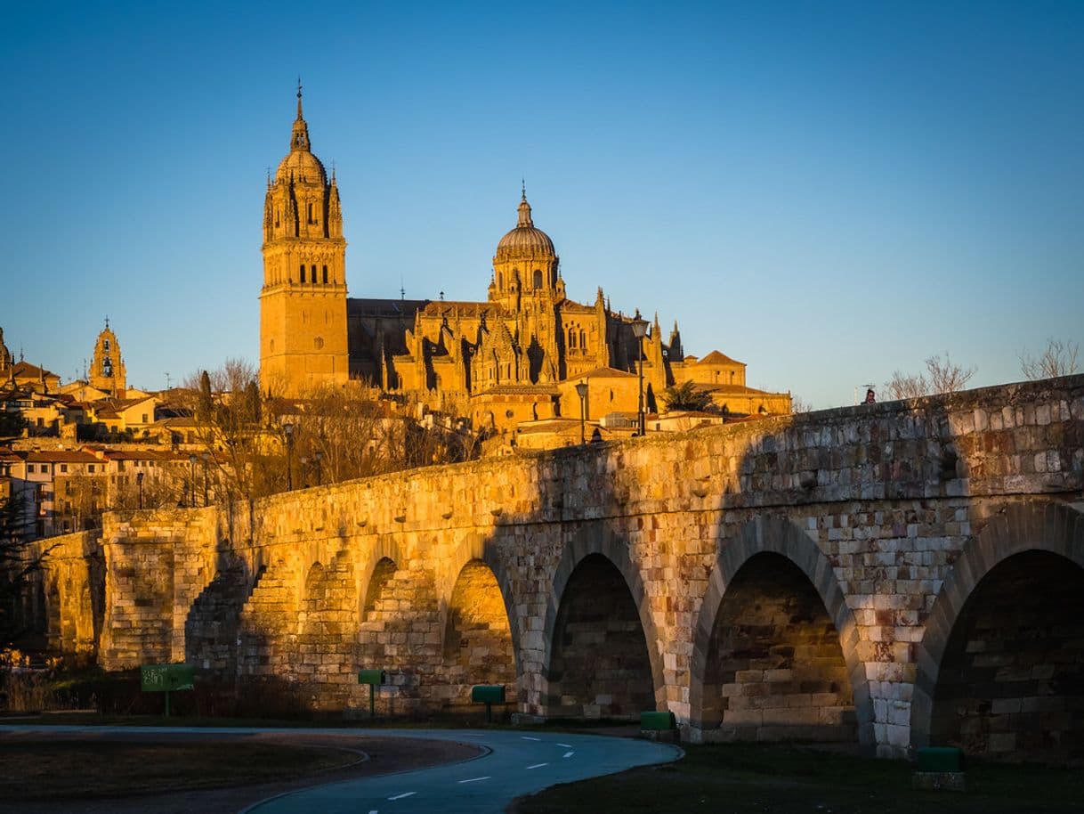 Place Catedral de Salamanca