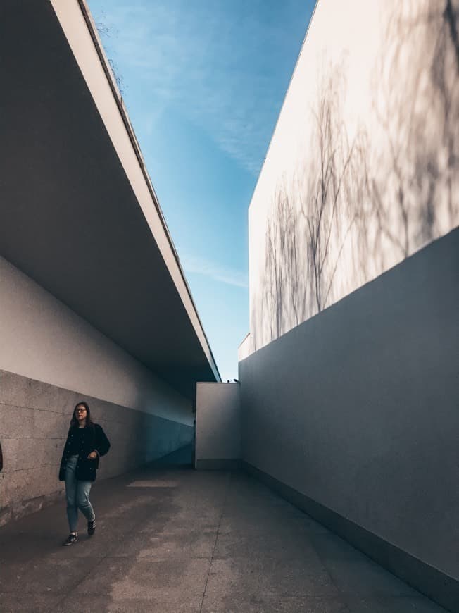 Lugar Parque de Serralves