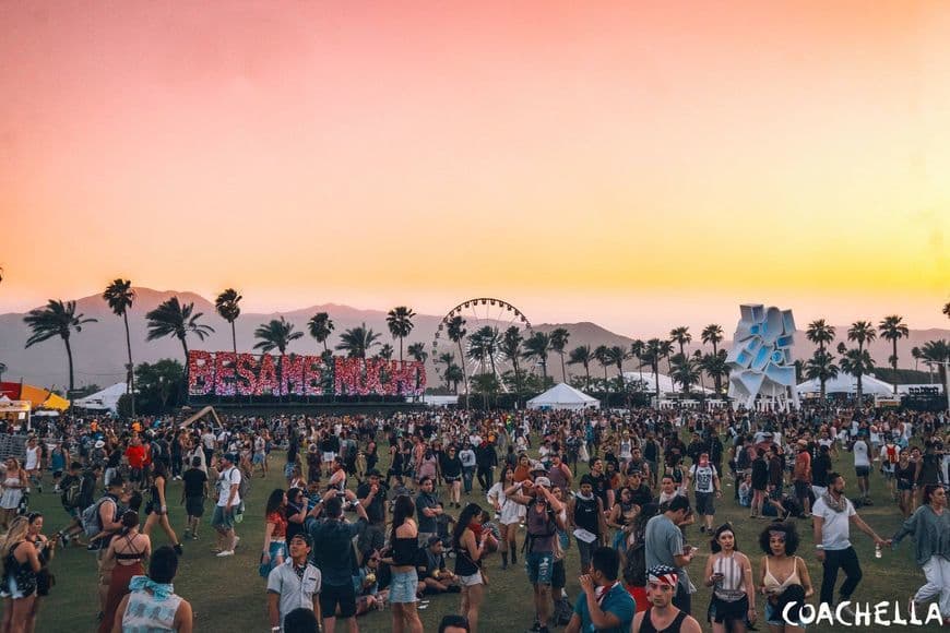 Lugar Coachella Festival