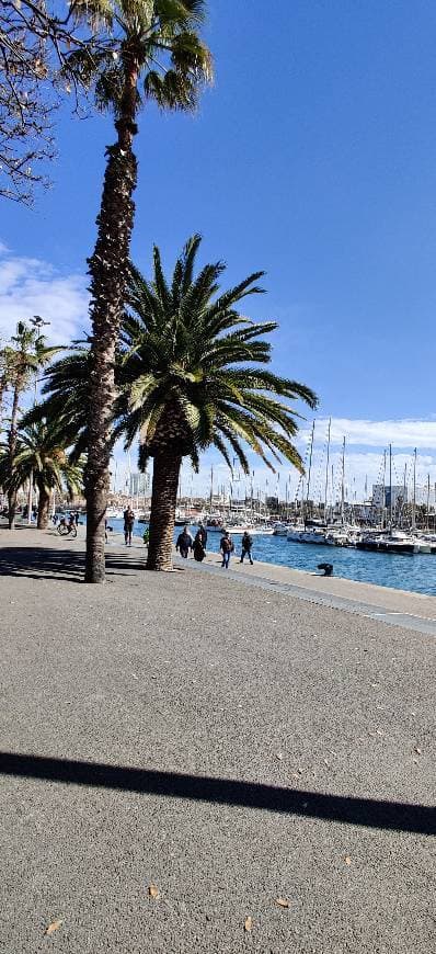 Place Port Vell