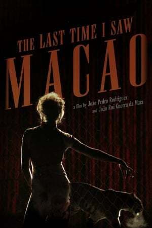 Movie The Last Time I Saw Macao