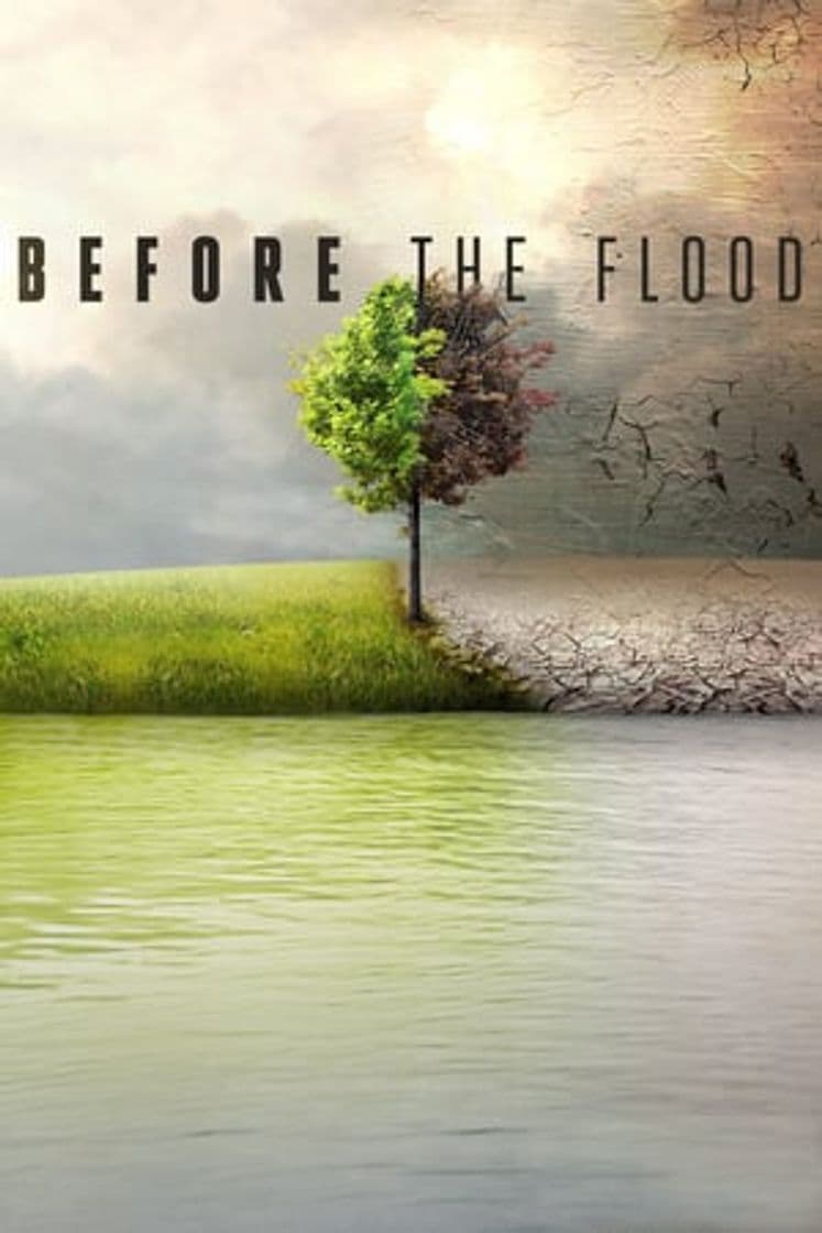 Película Before the Flood