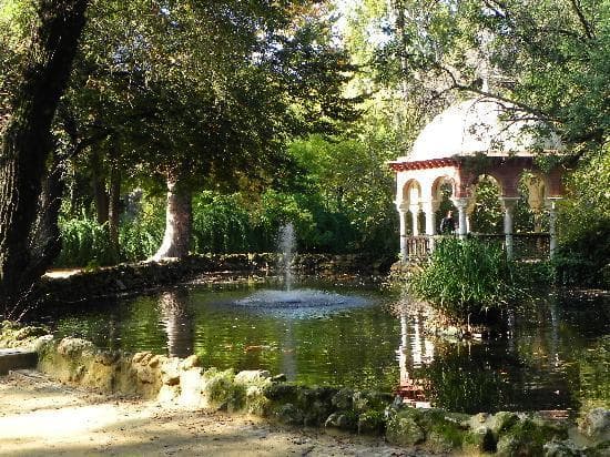 Place Parque De Maria Luisa