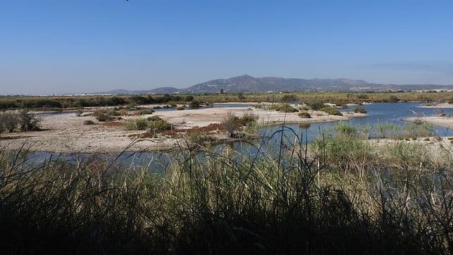 Lugar Marjal dels moros