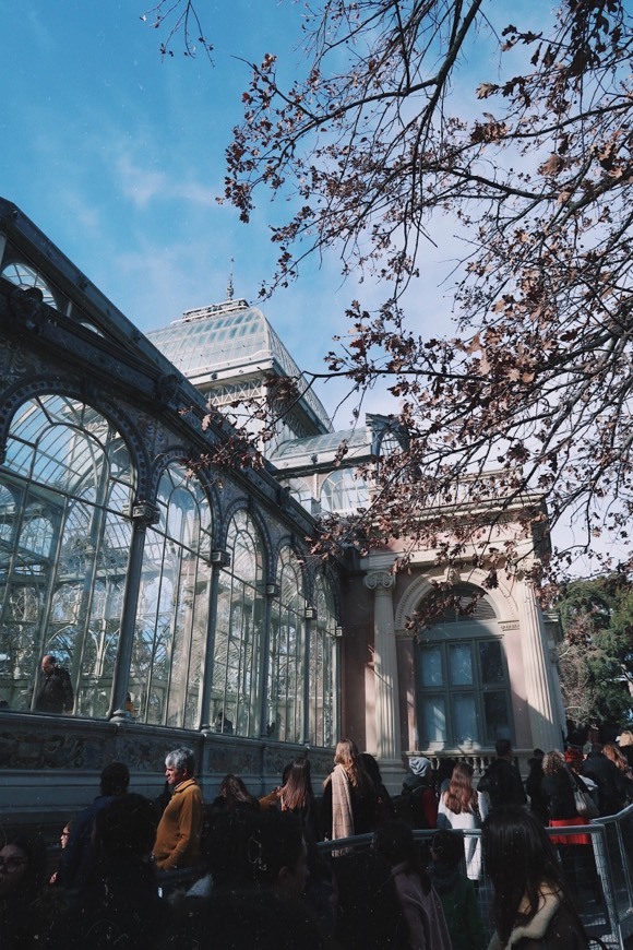 Lugar Palacio de Cristal