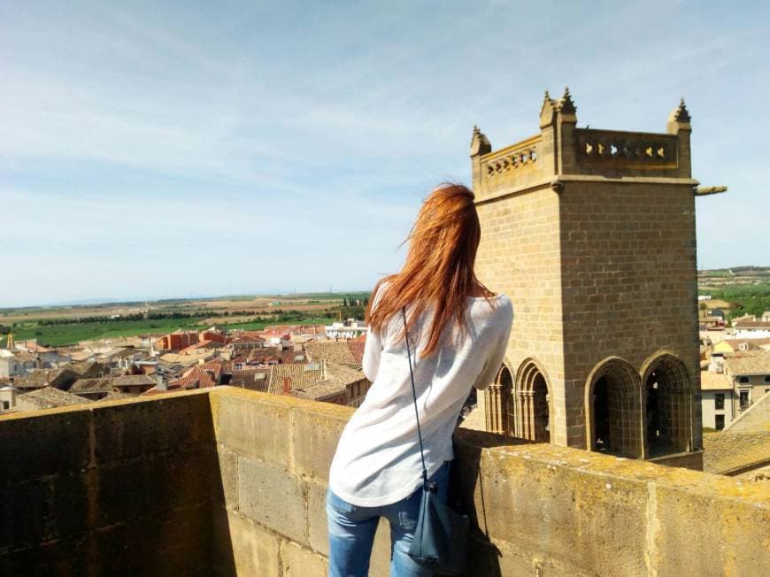 Lugar Palacio Real de Olite