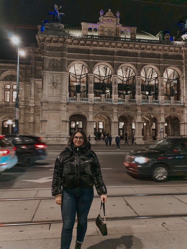 Lugar Vienna Operahouse