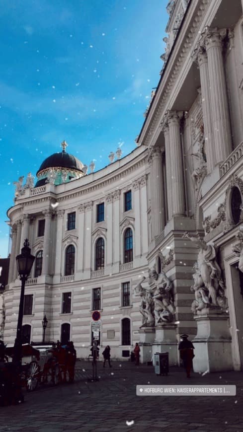 Lugar Hofburg Palace