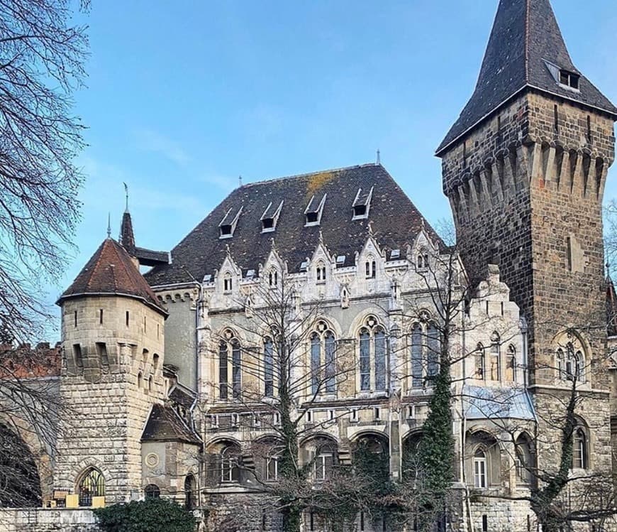 Place Castillo de Vajdahunyad