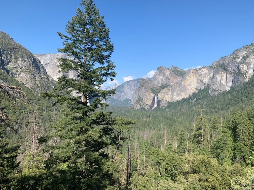 Place Yosemite