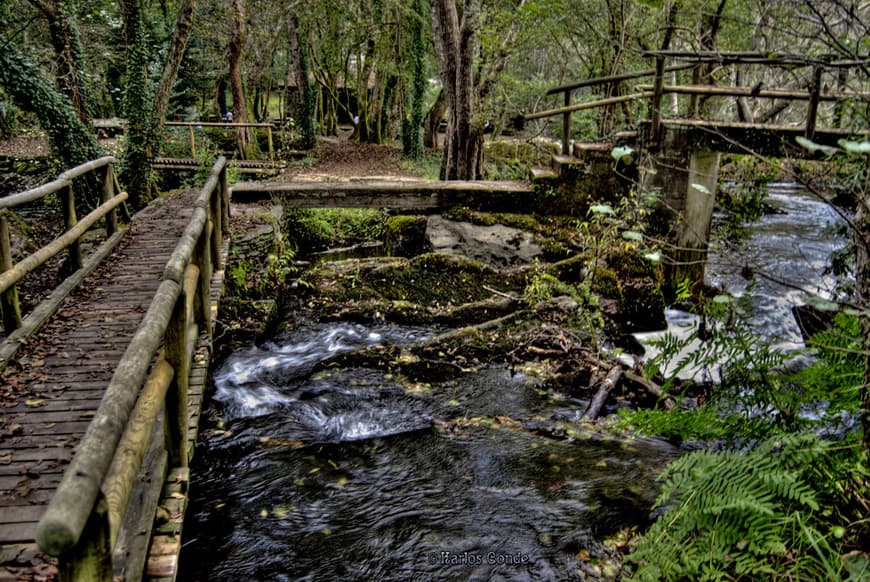 Lugar Refuxio de Verdes