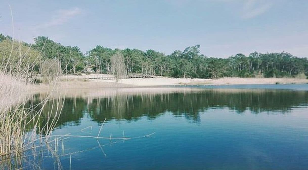 Lugar Lagoa da Ervedeira