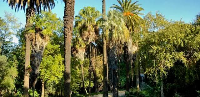 Place Jardín Botánico de la Universidad de Lisboa