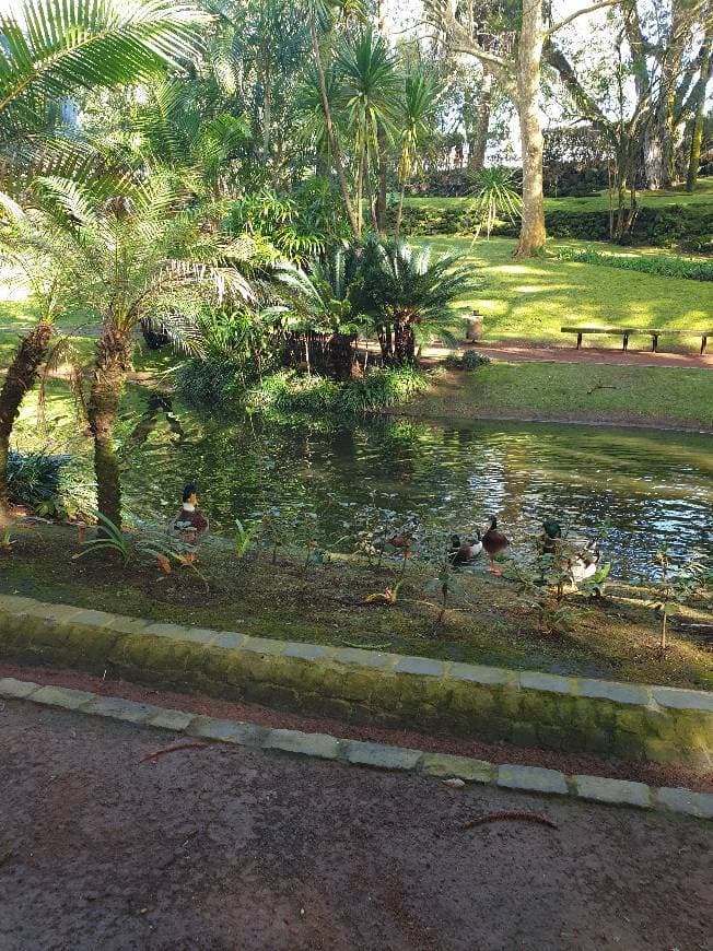 Place Jardim António Borges