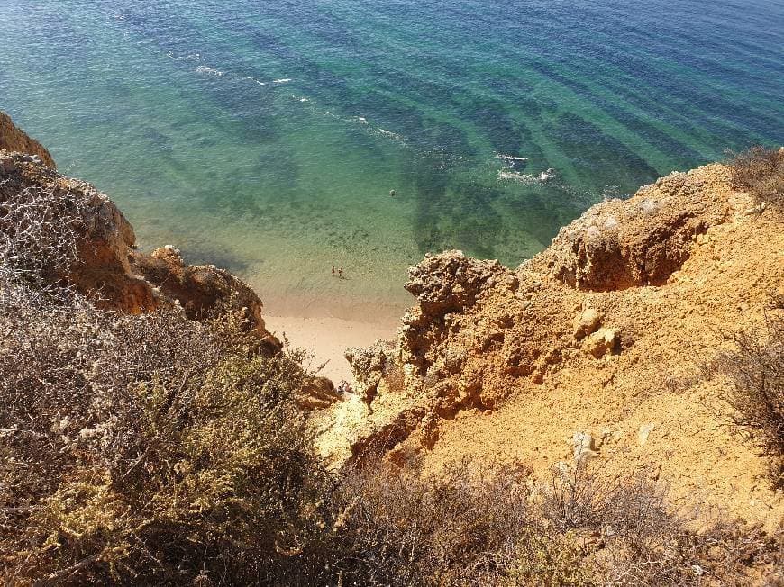 Lugar Praia do Pinhão