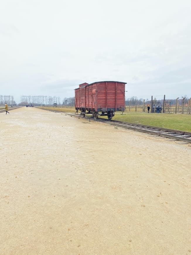 Lugar Auschwitz-Birkenau 