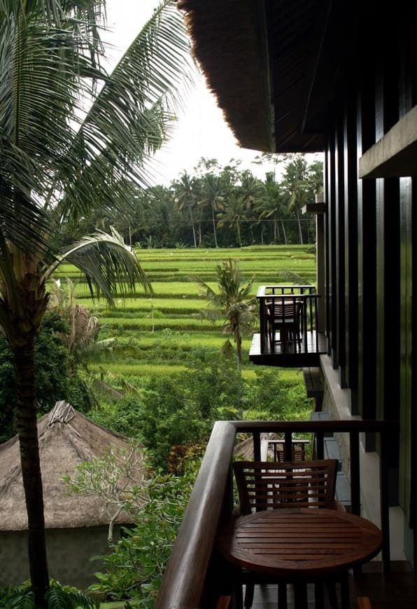 Place Maya Ubud 